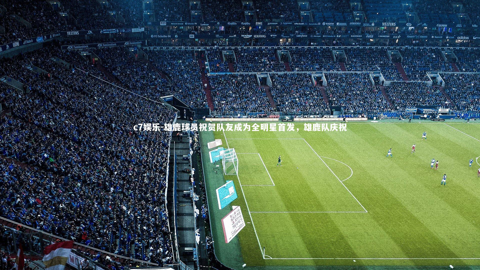 雄鹿球员祝贺队友成为全明星首发，雄鹿队庆祝