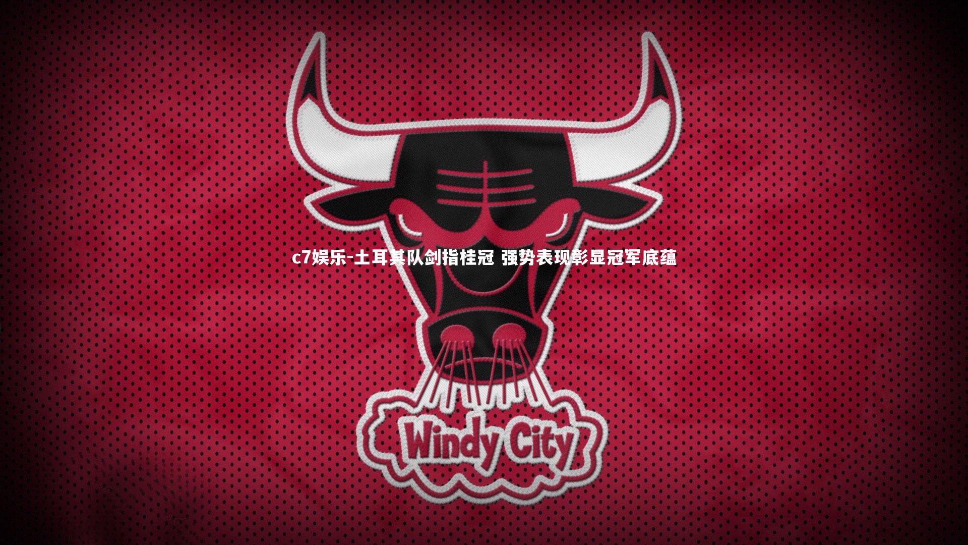 土耳其队剑指桂冠 强势表现彰显冠军底蕴